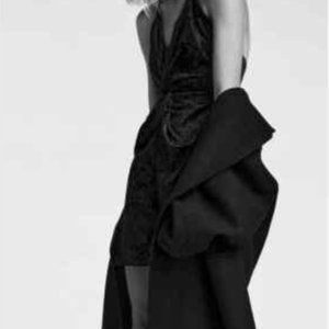 ZARA Velvet Mini Dress